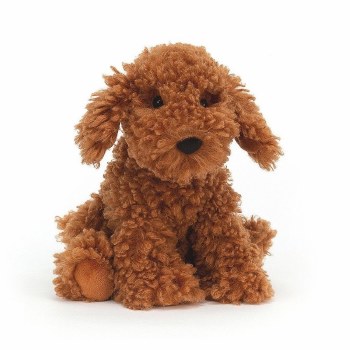 Cooper Doodle Dog