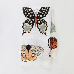 Butterfly Collector Swaddle