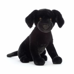 Pippa Black Labrador
