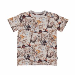 Ralphie Tee Cubs Harmony 6