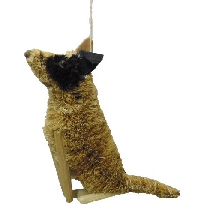 BRUSH ANIMAL TERRIER