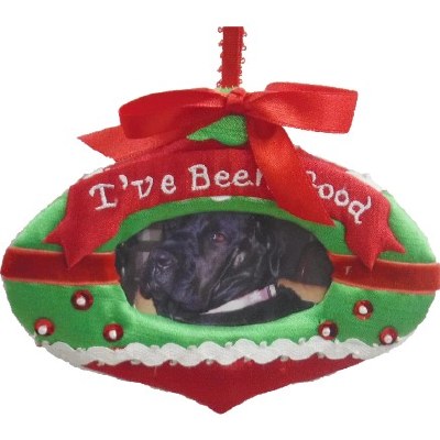 PICTURE FRAME IVE BEEN GOOD