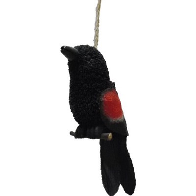 BRUSH RED WINGED BLACK BIRD