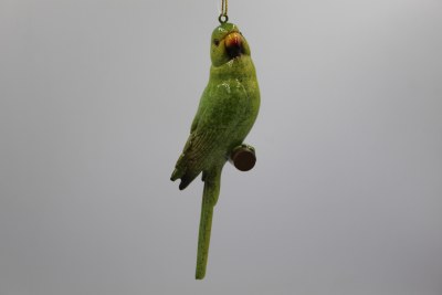 PARROT GREEN