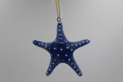 BLUE STARFISH