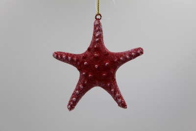 RED STARFISH