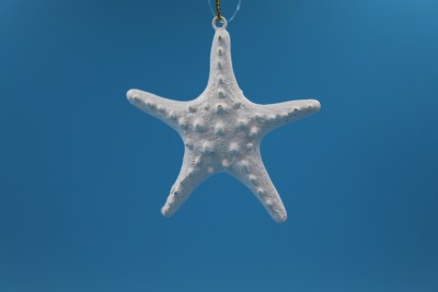 WHITE STARFISH