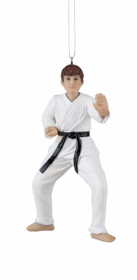 KARATE BOY