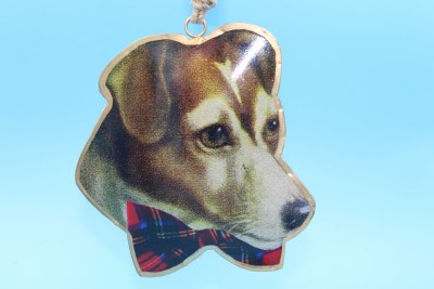 JACK RUSSEL DAPPER DOG