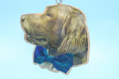 IRISH SETTER DAPPER DOG