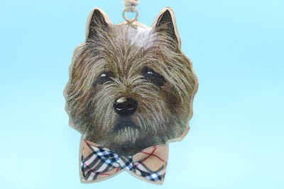 YORKIE DAPPER DOG