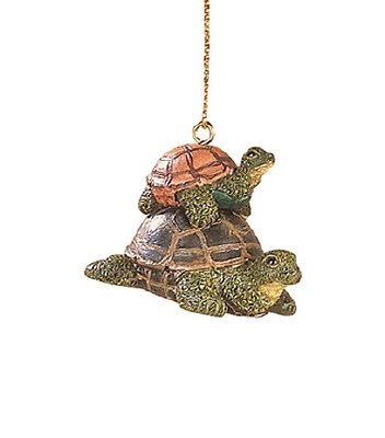 MINI 2 TURTLES