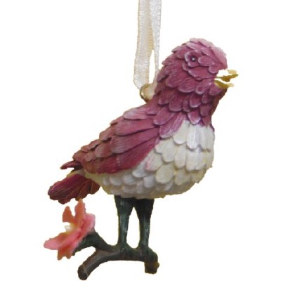 BIRD ROBIN