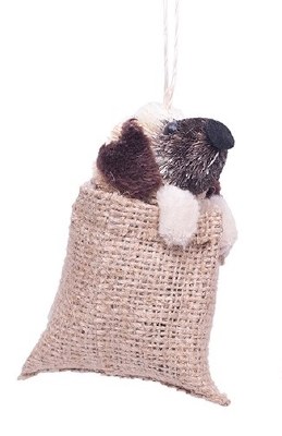 BROWN EAR BRUSH DOG