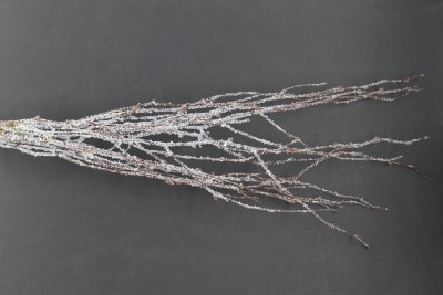 BRANCH FROSTED