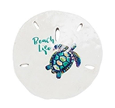 SANDDOLLAR TURTLE "BEACH LIFE"