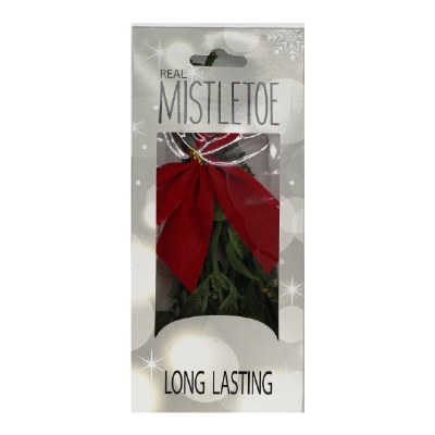 REAL MISTLETOE