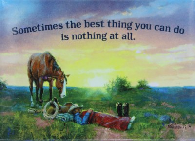 SOMETIMES THE BEST THIING MAGNET
