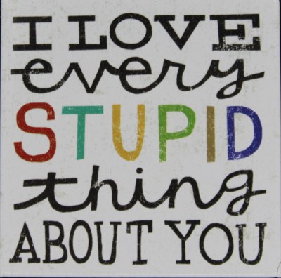 I LOVE EVERY STUPID THING