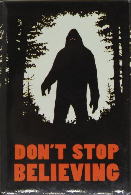 DON'T STOP BELIEVING