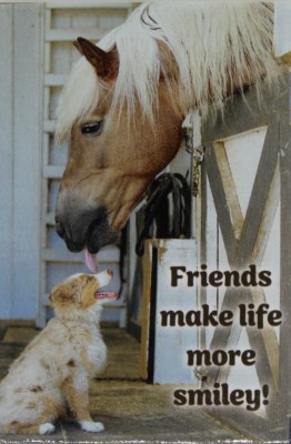 FRIENDS MAKE LIFE MORE SMILEY