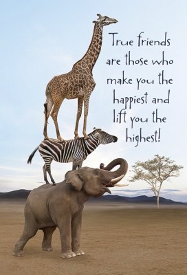 TRUE FRIENDS ARE THOSE WHO