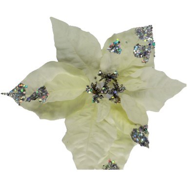 POINTSETTIA PICK