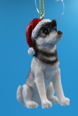 HUSKY