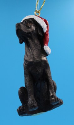 BLACK LABRADOR