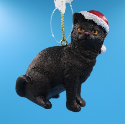 BLACK CAT