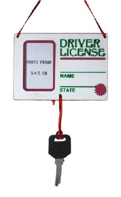 DRIVERS LICENSE PICTURE FRAME