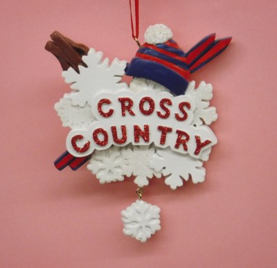 CROSS COUNTRY SKIING