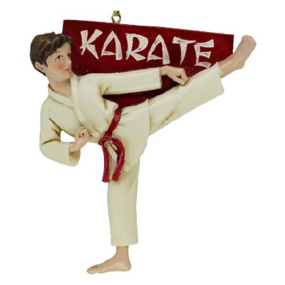 KARATE BOY