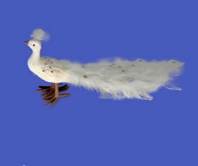 STANDING PEACOCK