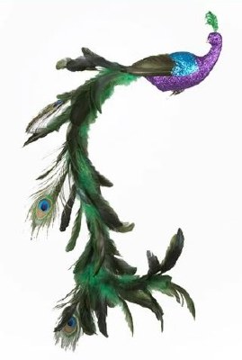 CLIP ON PEACOCK