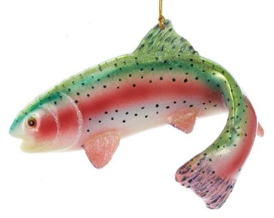 RAINBOW TROUT