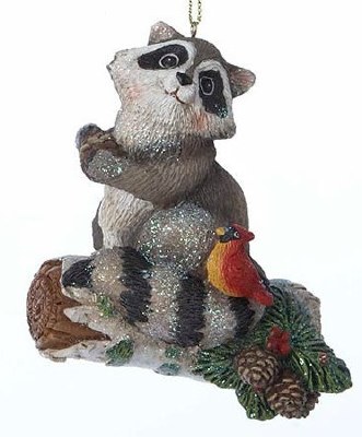 RACCOON