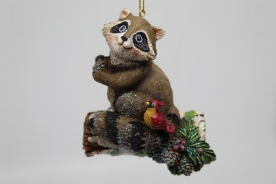 RACCOON