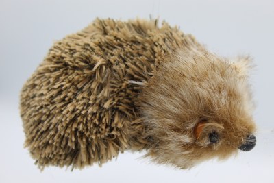 LAYING DOWN HEDGEHOG