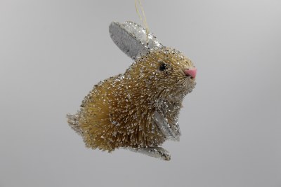 BRUSH RABBIT