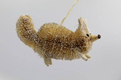 BRUSH FOX