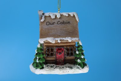OUR CABIN