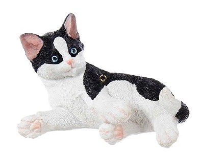 BLACK AND WHITE CAT