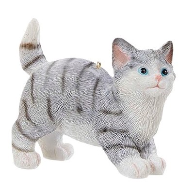 GRAY CAT