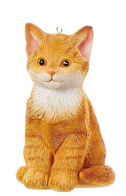 SITTING ORANGE CAT
