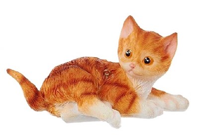 ORANGE CAT