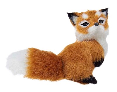 SIDEWAYS LOOKING FURRY FOX