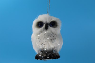 WHITE OWL