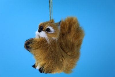 FURRY SQUIRREL