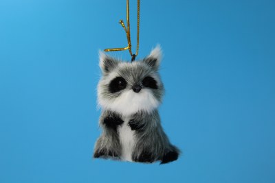 FURRY RACCOON